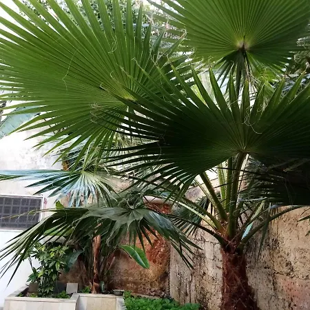 Dimora Storica Le Perle Couette-café Lecce
